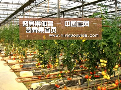 种植基地二